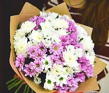 Букет цветов из:  Хризантемы #REPLACE_PRED# Якутске