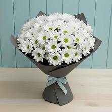 Букет белые хризантемы в Якутске Букет цветов из: Хризантемы в Якутске